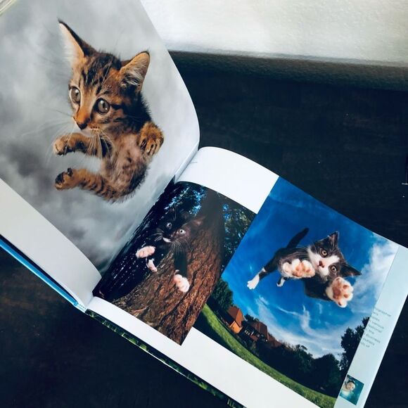Pounce Cats & Kittens Funny Cute Photo Book - Picture 6 of 6